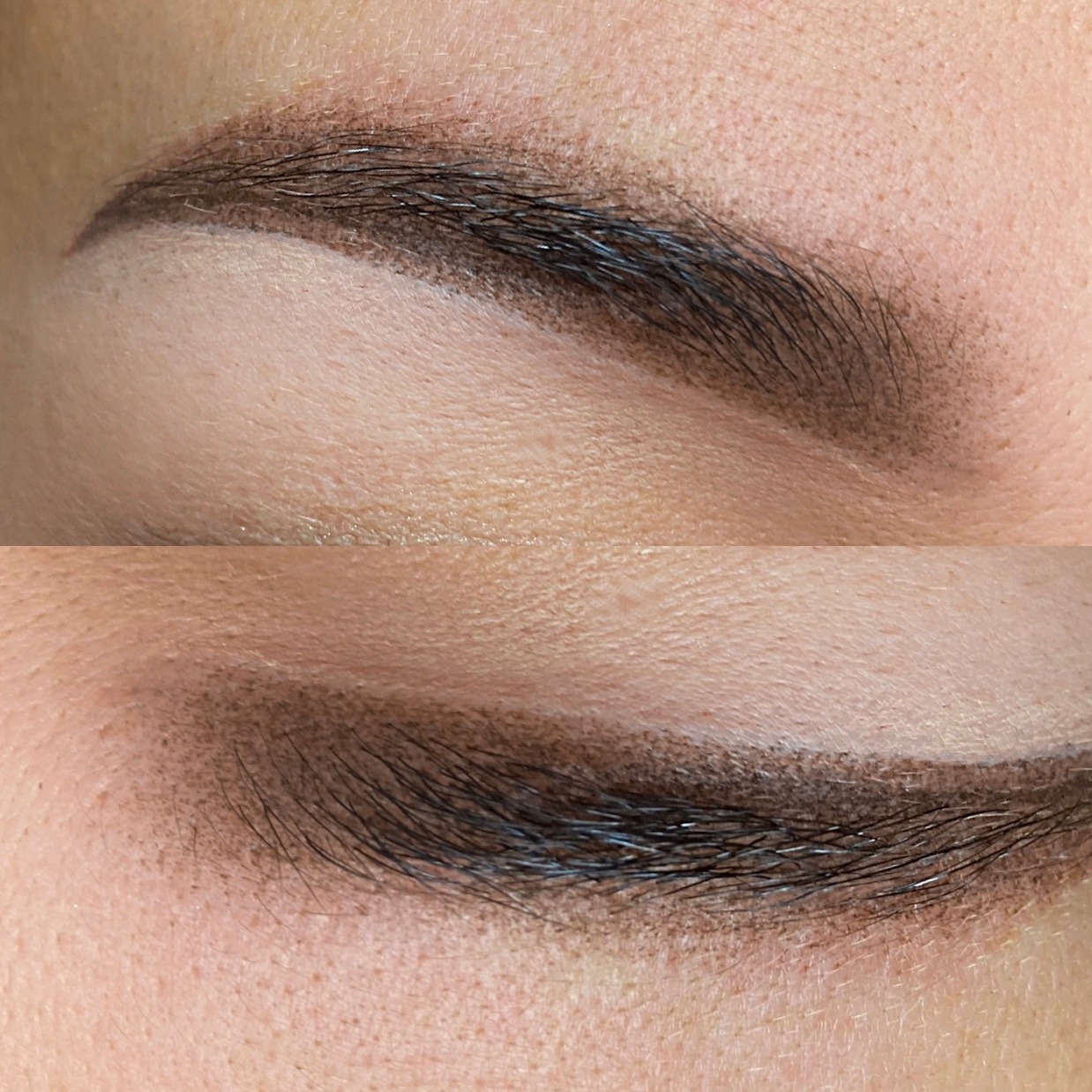 PowderBrows